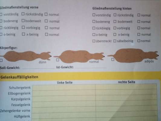 Balu nimmt nicht richtig zu-Beitrag-Bild