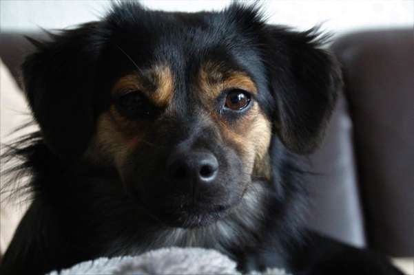 Fotochallange Nr. 57     PORTRÄT.   Beendet!!!!!!!!-Beitrag-Bild