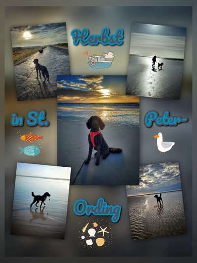 53. Collage Challenge - Verschiedene Blickwinkel-Beitrag-Bild