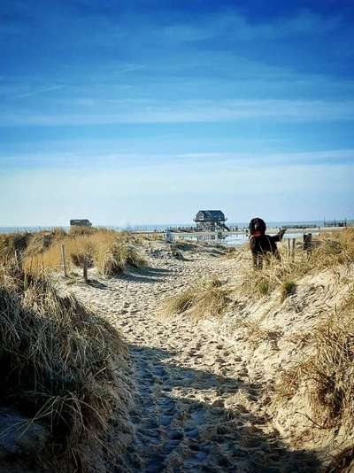 28. Farben Foto Challenge * BEIGE *-Beitrag-Bild