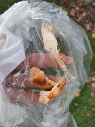 Giftköder-Hähnchenfleisch in Kleingartenanlage-Bild