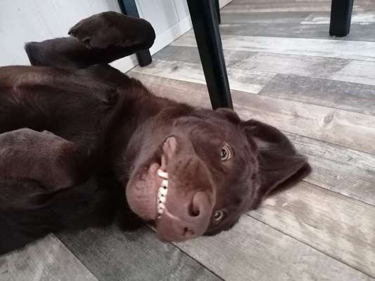 Handy-foto Challange nr. 11-Beitrag-Bild