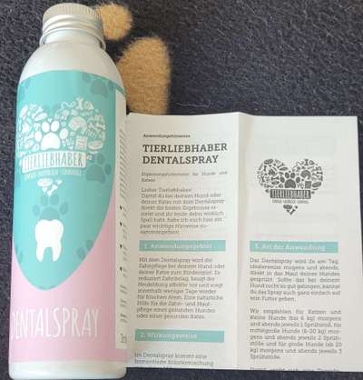 Zähne putzen-Beitrag-Bild