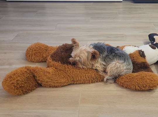 Fotochallenge Nr. 67: Euer Lieblingsbild-Beitrag-Bild