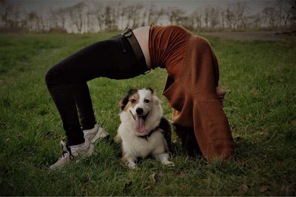 Lustige Bilder-Beitrag-Bild