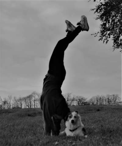 Lustige Bilder-Beitrag-Bild