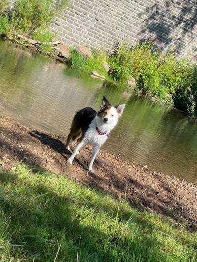 Eure Strandbilder :)-Beitrag-Bild