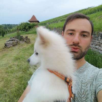 Hundetreffen-Spazieren gehen 🐕-Profilbild