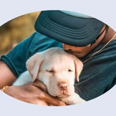 %{de_profession_title}-Welpenkurs (6 Lektionen)-Bild