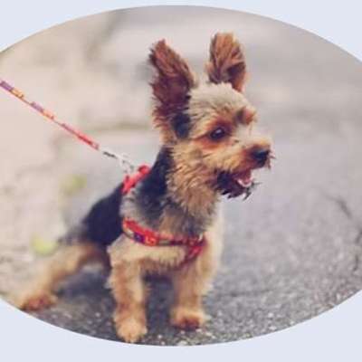 %{de_profession_title}-Jungundekurs-Bild