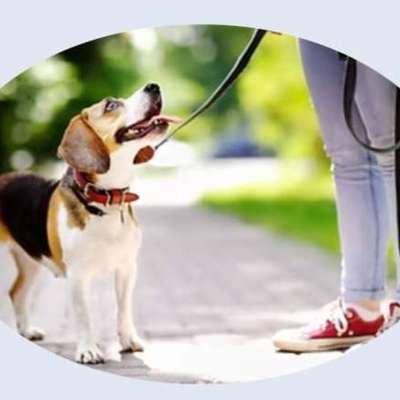 %{de_profession_title}-Social Walk-Bild