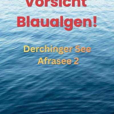 Giftköder-Blaualgen Afrasee2 und Derchinger See-Bild