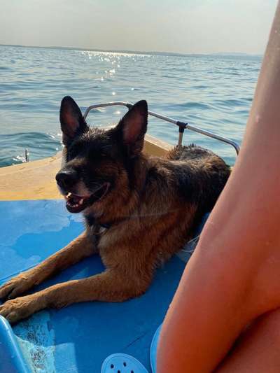 Meine Lieblings Wasser Momente-Beitrag-Bild