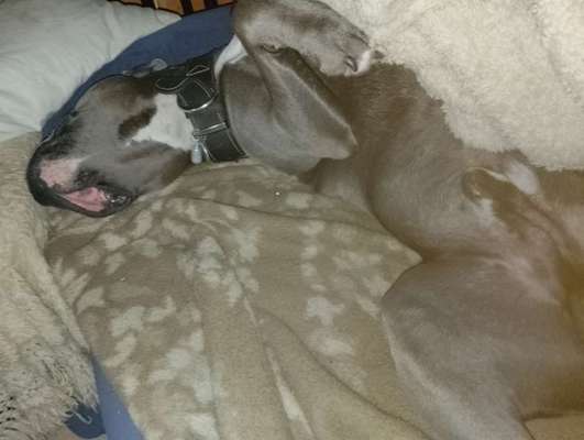 Was hat euch heute genervt?-Beitrag-Bild