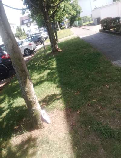 Was hat euch heute genervt?-Beitrag-Bild