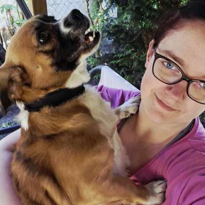 Hundetreffen-Treffen Hunde