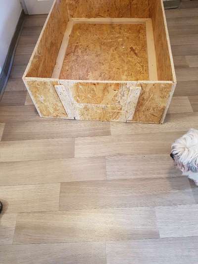 Wurfbox eigenbau-Beitrag-Bild