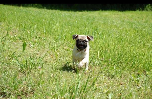 Fotochallenge Nr.105  Glücksmomente-Beitrag-Bild