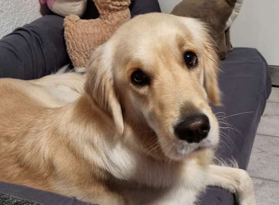 Fotochallange Nr. 57     PORTRÄT.   Beendet!!!!!!!!-Beitrag-Bild