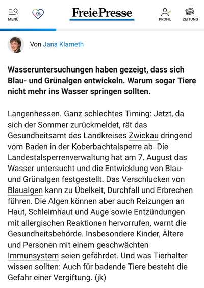 Giftköder-Blaualgen-Bild