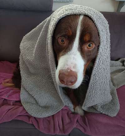 Moviestar-Pics!-Beitrag-Bild