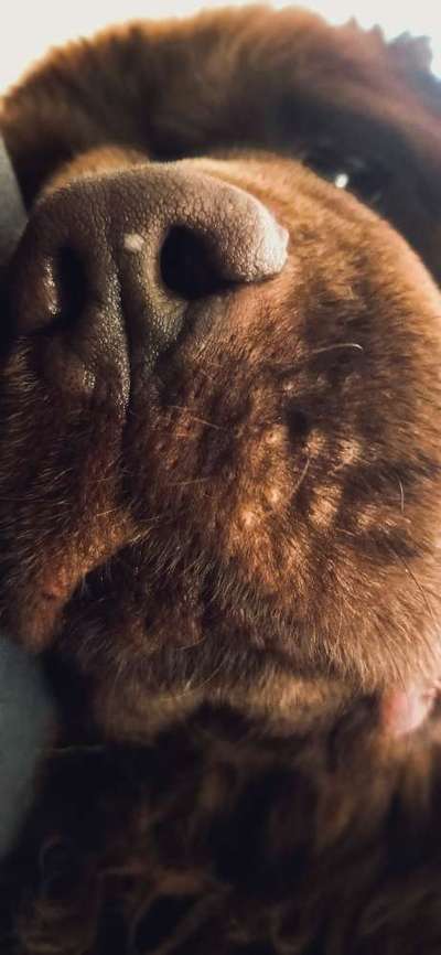 Nahaufnahme-Beitrag-Bild