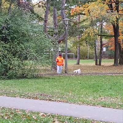 Giftköder-Gefährlicher Hundehasser mit Pfefferspra-Bild