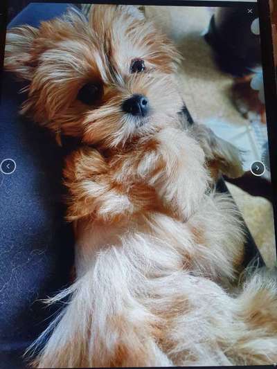 Fotochallange Nummer 5-Beitrag-Bild