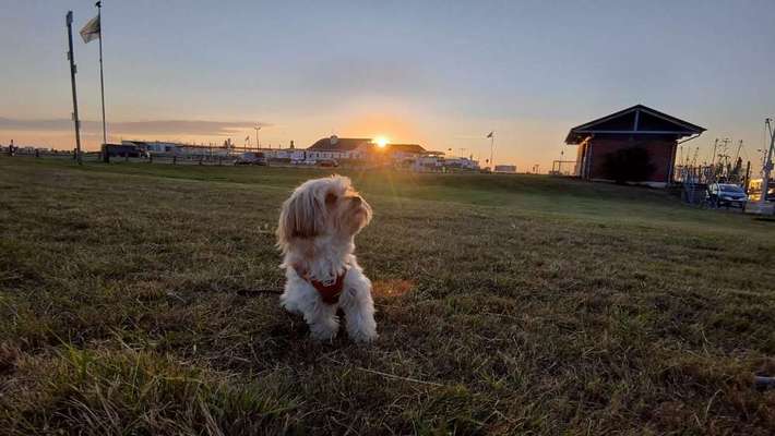 Fotochallenge Nr. 94 It's summer time-Beitrag-Bild