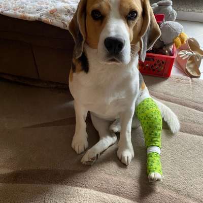 Kreuzband OP-Beitrag-Bild