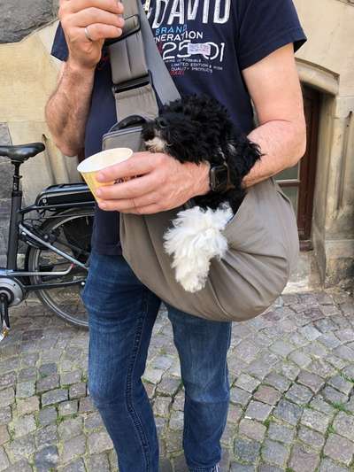 Bauchtrage-Beitrag-Bild