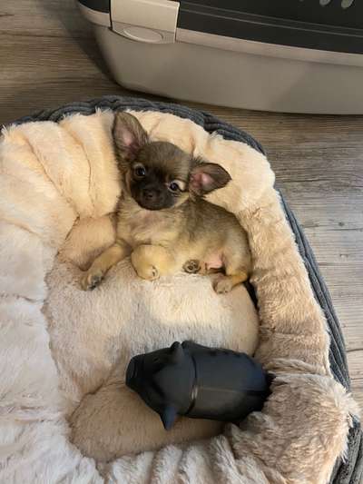 Foto Challenge 3-Beitrag-Bild