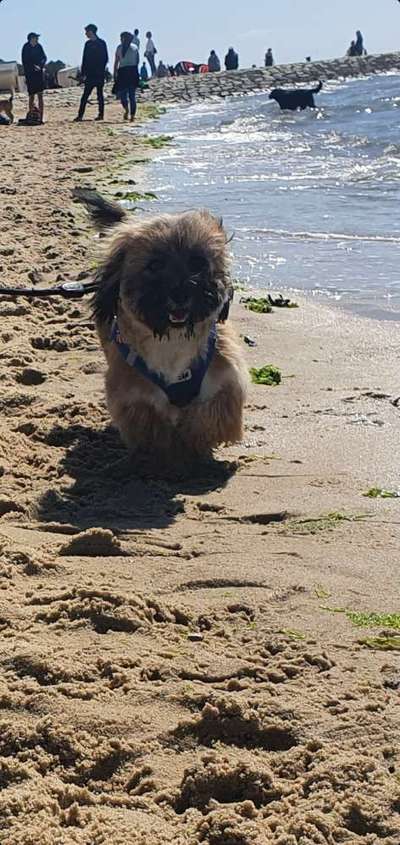 42.Fotochallenge - Eure schönen Momente beim Spaziergang-Beitrag-Bild