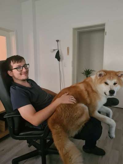 Welpen Bilder !-Beitrag-Bild