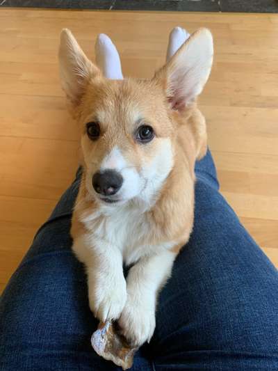 Lieblingsbild :D-Beitrag-Bild