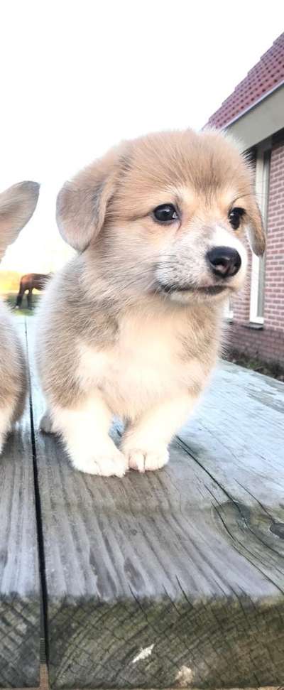 Vorher.... Nachher-Beitrag-Bild