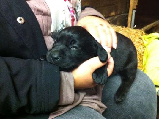 Das erste Foto-Beitrag-Bild