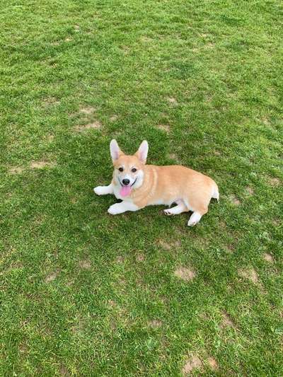 Vorher.... Nachher-Beitrag-Bild