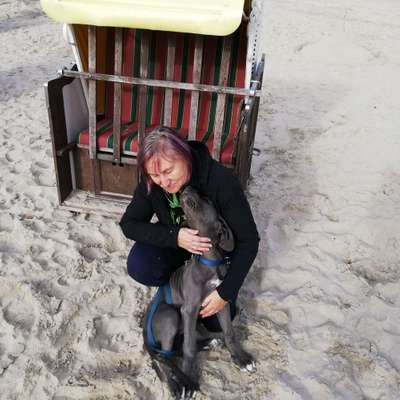 Hundetreffen-Gassi Runde um Chemnitz-Profilbild