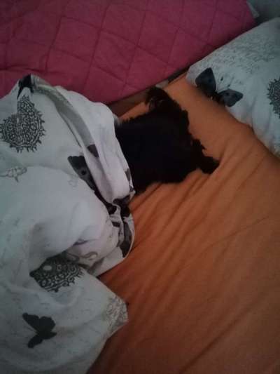 Challenge 21 - wo bin ich : )-Beitrag-Bild