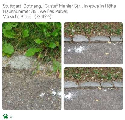 Giftköder-Weißes Pulver-Bild