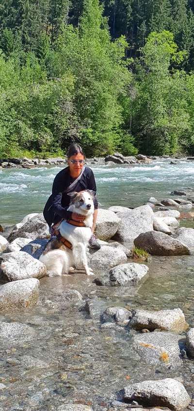 Challenge 41 - Mein Hund im Urlaub-Beitrag-Bild