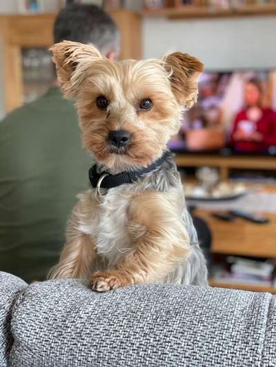 Lieblingsbild-Beitrag-Bild