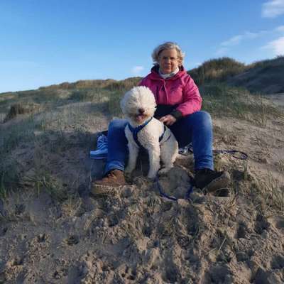 Hundetreffen-Suche Lagotto Gassipartner in Essen oder Umgebung