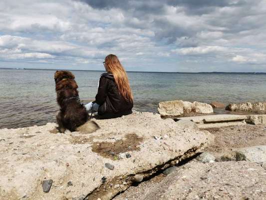 Challenge 33 - Du und dein Hund-Beitrag-Bild