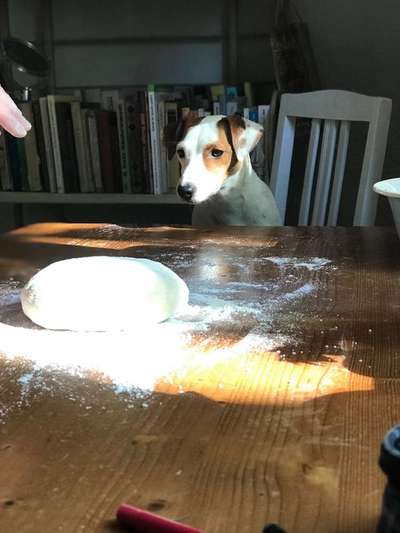 Lieblings Schnappschuss?-Beitrag-Bild