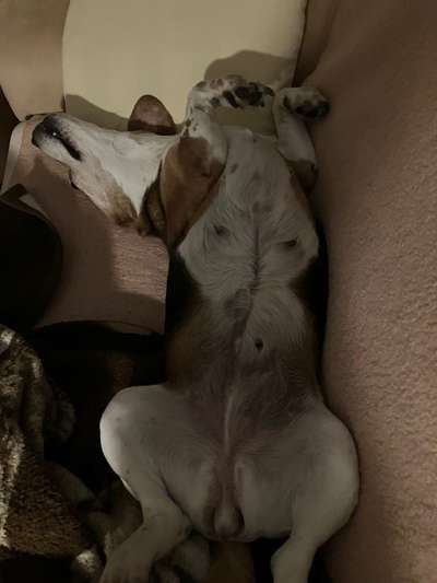 Foto Challenge - Zeigt her eure Bäuche-Beitrag-Bild