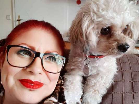 Zeig mir, dass du mit einem hund zusammenlebst....-Beitrag-Bild