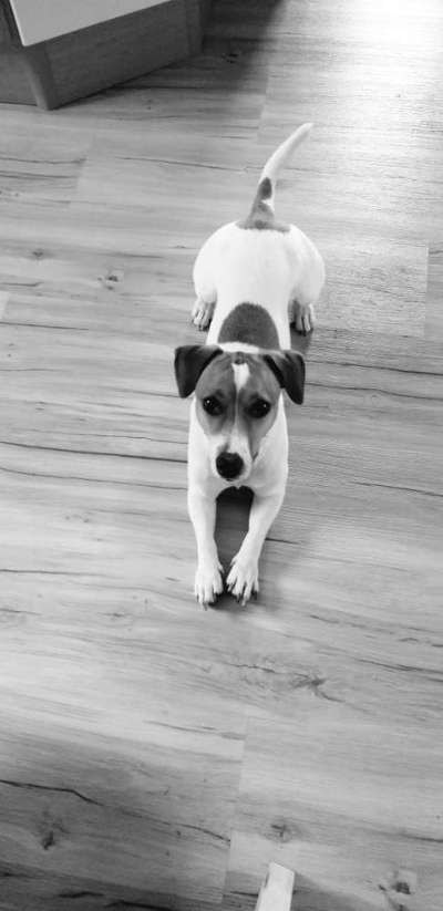 Foto-Challenge 76: Foto in Schwarz-Weiss-Beitrag-Bild