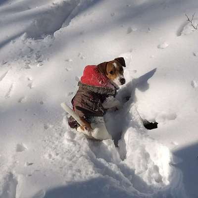 Dogorama Photo Challenge - Es wird nochmal kalt!-Beitrag-Bild